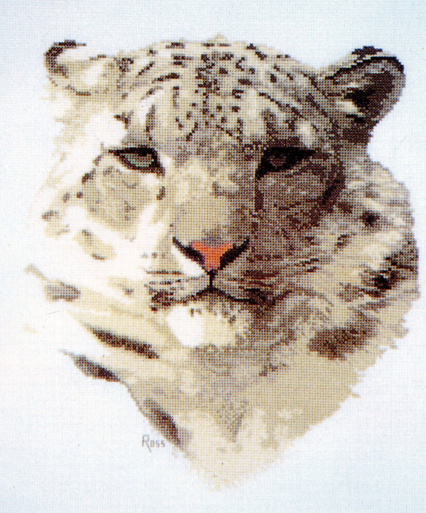 Snow Leopard by Graeme Ross