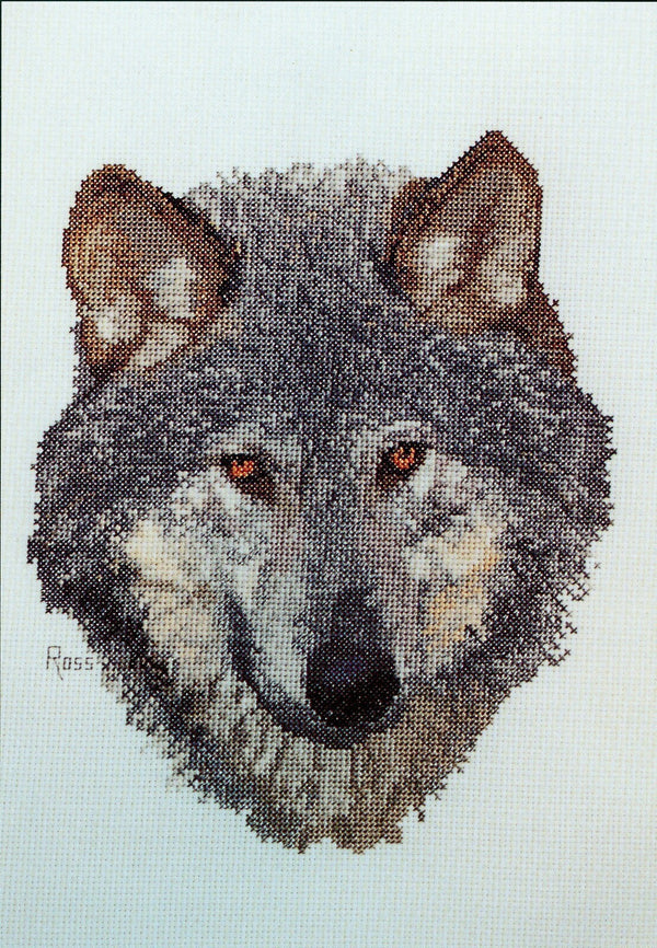 Wolf by Graeme Ross