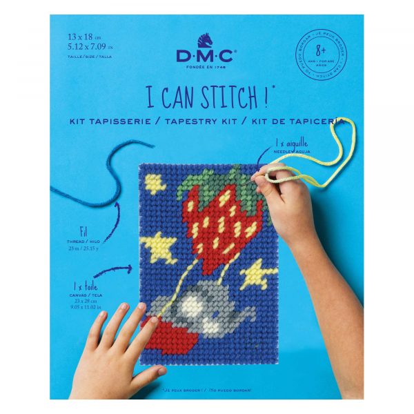 Strawberry Skies - I Can Stitch! Tapestry Kit by DMC C06N92K