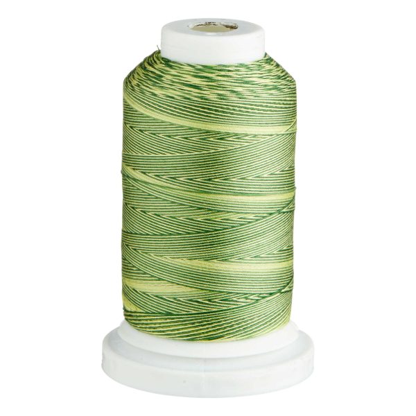 Embroidery Thread Variegated  -Cotton - Colour SCM19 - (700m) by Birch