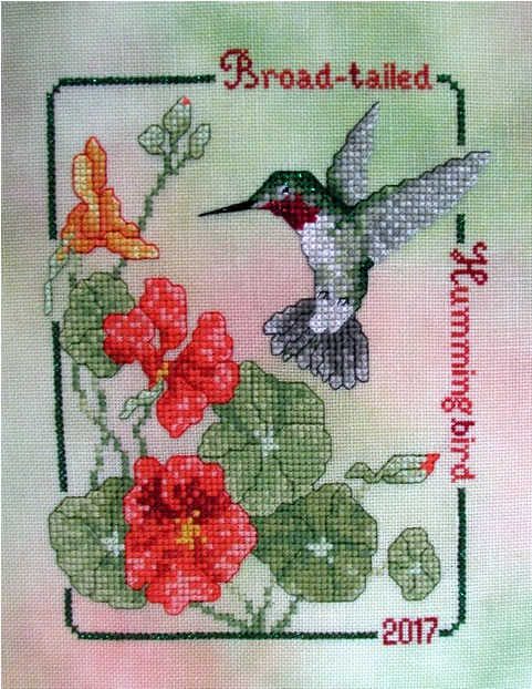Commemorative 2017 - Broad-tailed Hummingbird by Crossed Wing Collection