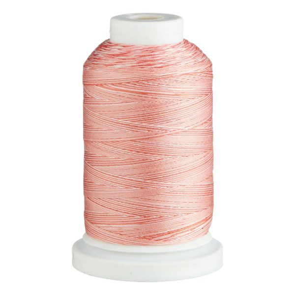 Embroidery Thread Variegated  -Cotton - Colour  SCM17 - (700m) by Birch