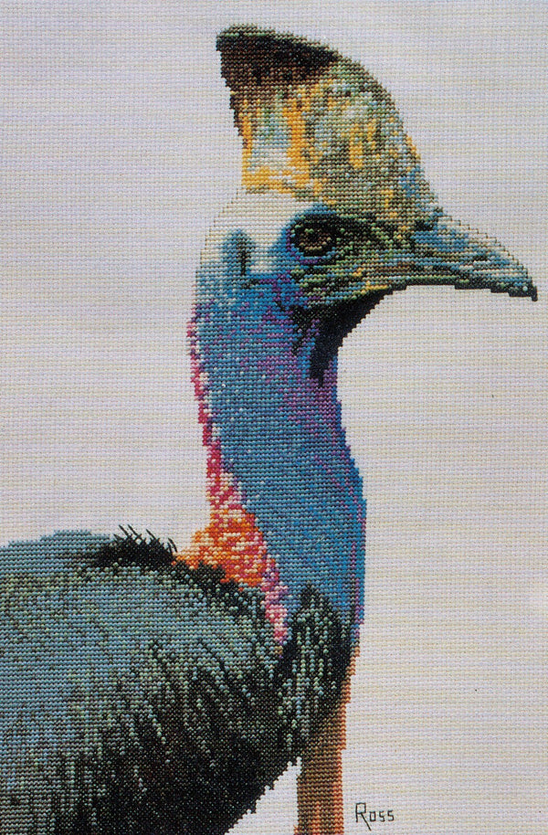 Cassowary by Graeme Ross