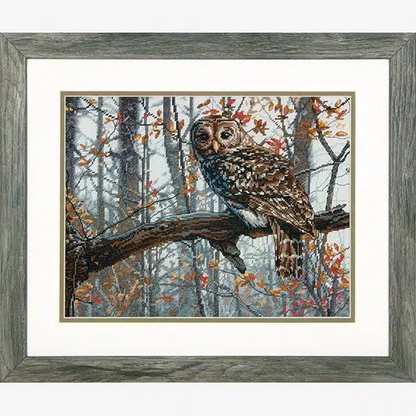 Wise Owl Cross Stitch Kit 70-35311 by Dimensions