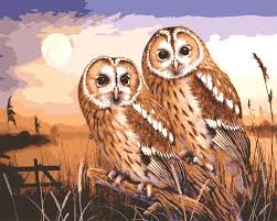 Owls - Tapestry Canvas by Grafitec 10465