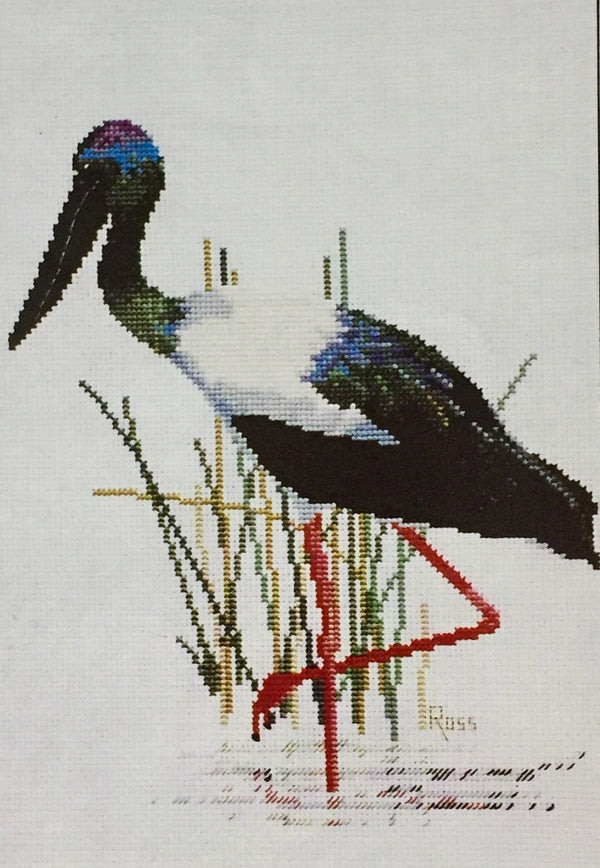 Jabiru by Graeme Ross