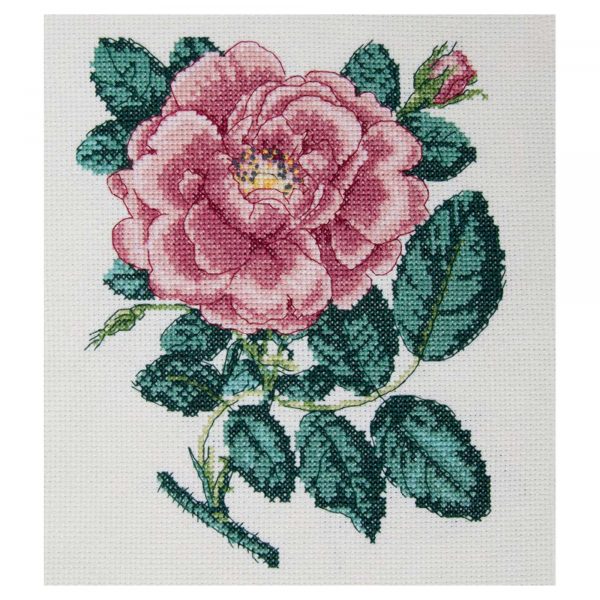Floragenius Rosa Damascena Grandiflora by Stark Cross Stitch Kit by My Cross Stitch FGCS02