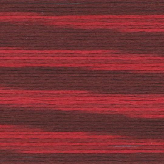 Cosmo Seasons Variegated Stranded Cotton 5006