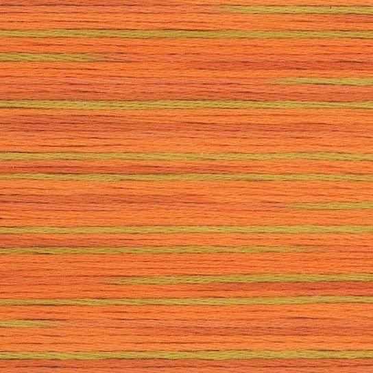 Cosmo Seasons Variegated Stranded Cotton 5008