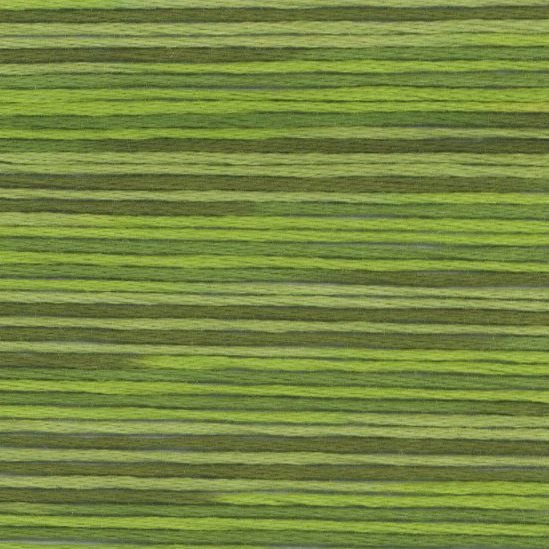 Cosmo Seasons Variegated Stranded Cotton 5014