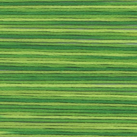 Cosmo Seasons Variegated Stranded Cotton 5015