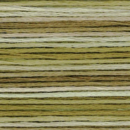 Cosmo Seasons Variegated Stranded Cotton 8040