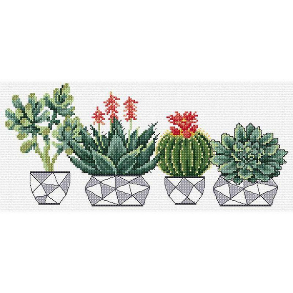 Succulents 32cm x 14.5cm by DMC