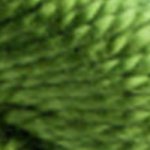 DMC Perle Size 5 25m Skein 3346