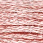DMC Stranded Cotton 224