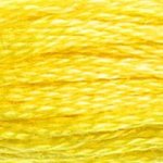 DMC Stranded Cotton 307