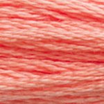 DMC Stranded Cotton 3341