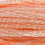 DMC Stranded Cotton 353