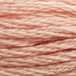 DMC Stranded Cotton 3771