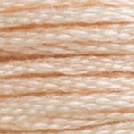 DMC Stranded Cotton 3774