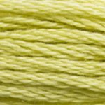 DMC Stranded Cotton 3819