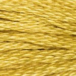 DMC Stranded Cotton 3820