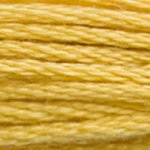 DMC Stranded Cotton 3821