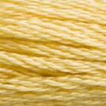 DMC Stranded Cotton 3822
