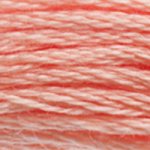 DMC Stranded Cotton 3824