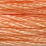 DMC Stranded Cotton 3825