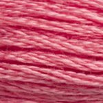 DMC Stranded Cotton 3833
