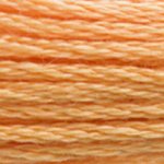 DMC Stranded Cotton 3854