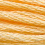 DMC Stranded Cotton 3855