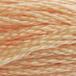 DMC Stranded Cotton 3856