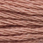 DMC Stranded Cotton 3859