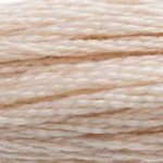 DMC Stranded Cotton 543