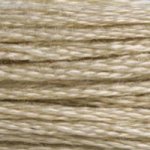 DMC Stranded Cotton 613