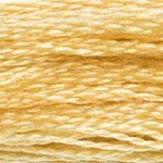 DMC Stranded Cotton 676