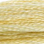 DMC Stranded Cotton 677