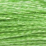 DMC Stranded Cotton 703