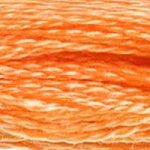 DMC Stranded Cotton 722