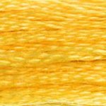 DMC Stranded Cotton 725