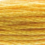 DMC Stranded Cotton 728