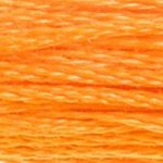 DMC Stranded Cotton 741