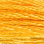 DMC Stranded Cotton 742