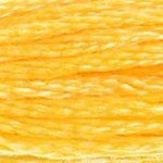 DMC Stranded Cotton 743