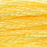 DMC Stranded Cotton 744