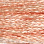 DMC Stranded Cotton 754