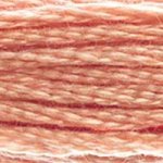 DMC Stranded Cotton 758