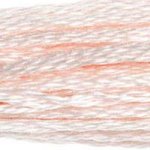 DMC Stranded Cotton 819